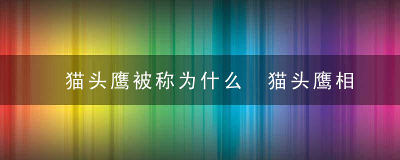 猫头鹰被称为什么 猫头鹰相关介绍